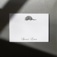 Armadillo Note Cards