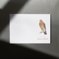 Red Shouldered Hawk Note Cards